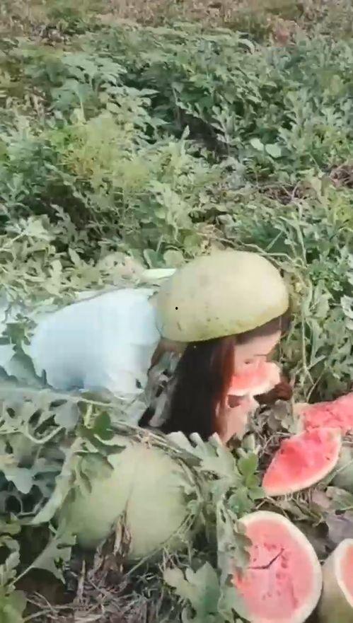 漂亮姐姐吃瓜视频大全,跟随漂亮姐姐一起探索吃瓜视频大全