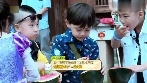 吃瓜边吃边哭的视频下载,边吃瓜边哭的感人瞬间