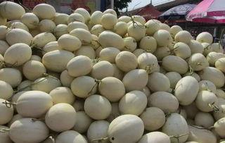 农村大集吃瓜视频,欢乐吃瓜瞬间记录