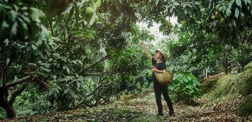 cg01吃瓜视频,揭秘娱乐圈幕后真相