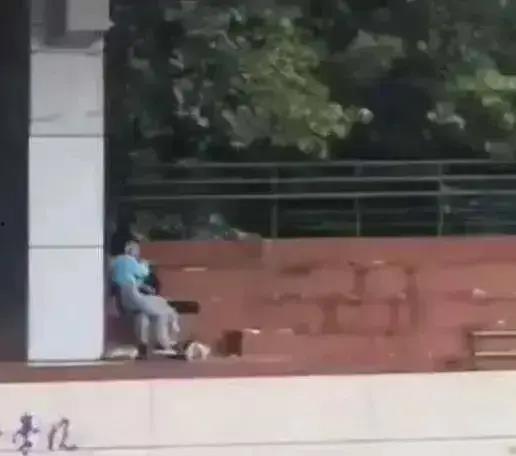 陕西西安吃瓜事件视频,一场网络热议背后的真相揭秘