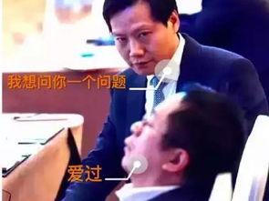 雷军吃冰瓜视频大全集,吃冰瓜视频大全集回顾