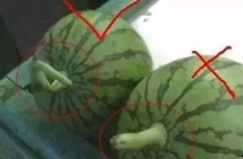 全网吃瓜视频第一名,揭秘热门事件背后的真相！