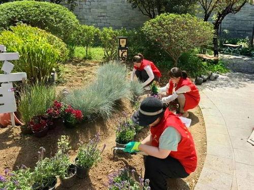 莱芜公园吃瓜事件视频播放,视频曝光引发网友热议