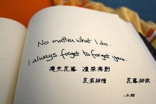 感情吃瓜故事文字版视频,一场关于爱情与瓜果的甜蜜冒险