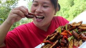 胖妹在线吃瓜视频下载,揭秘热门视频幕后下载攻略