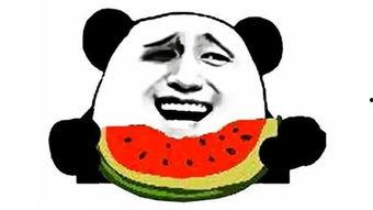 空座位吃瓜搞笑视频,笑料横生的欢乐瞬间