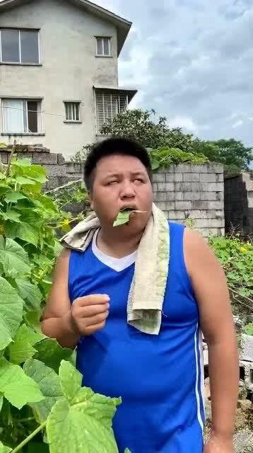 卖吃瓜视频被抓是真的吗,揭秘“卖吃瓜视频被抓”事件真相