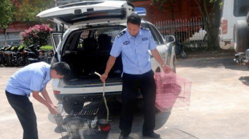 民警救狐狸吃瓜视频完整版,人间值得！