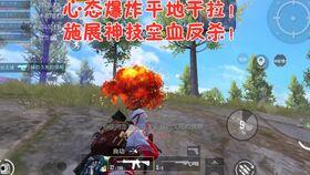 香港人吃鸡瓜视频大全,鸡瓜视频大全带你领略地道风味