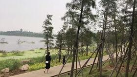 滨河公园吃瓜事件视频播放,视频曝光引发网友热议