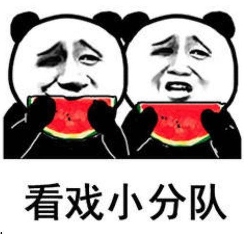 看戏吃瓜搞笑段子视频,瓜田乐趣无穷——搞笑段子视频集锦