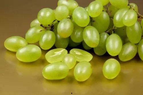 提子视频吃瓜事件,揭秘网络舆论的狂欢与反思