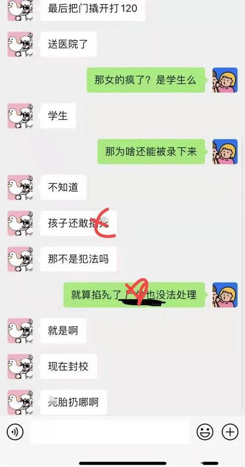 哈尔滨女的吃瓜事件视频,真相与误解的交织