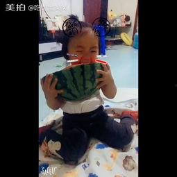 搞笑视频带你吃大瓜,笑料横生！跟随搞笑视频一网打尽娱乐圈大瓜