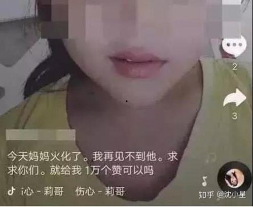 网红庞博文吃瓜视频,揭秘娱乐圈幕后真相