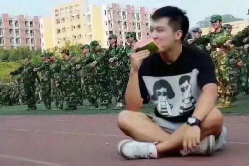 训练教练吃瓜视频,趣味视频背后的故事