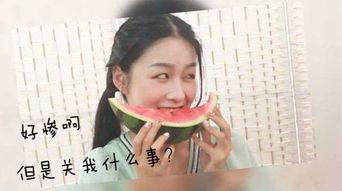 吃瓜表情包怎么回复女孩子呢视频