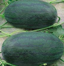 山东日照吃瓜视频后续,真相揭晓，事件发酵背后的故事