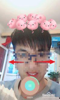 小猪吃瓜抖音特效视频大全,小猪吃瓜，趣味无限，快来体验！