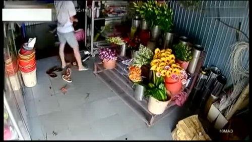 鲜花店老板吃瓜视频大全,趣味视频大盘点