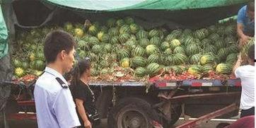 唐河吃瓜事件真相揭秘视频,揭秘背后真相与争议