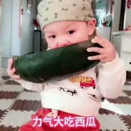小宝宝吃瓜的视频大全,萌娃瓜趣大盘点