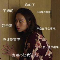 吃瓜一姐视频,带你领略娱乐圈幕后风云