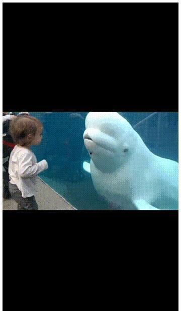 明星吃瓜震惊全网视频