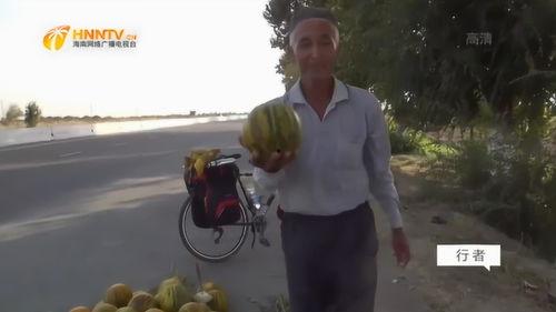 广西大叔吃瓜视频,一场接地气的乡村美食盛宴