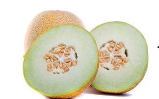 哈密瓜吃哪里的好呢视频,探寻最佳口感之地