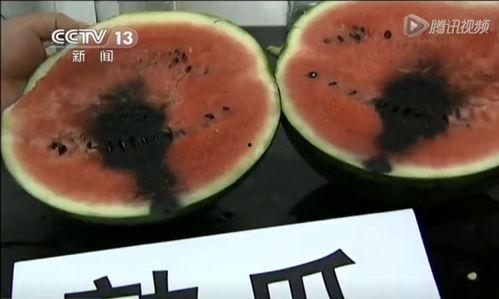 万达吃瓜视频在哪看,一网打尽热门内容