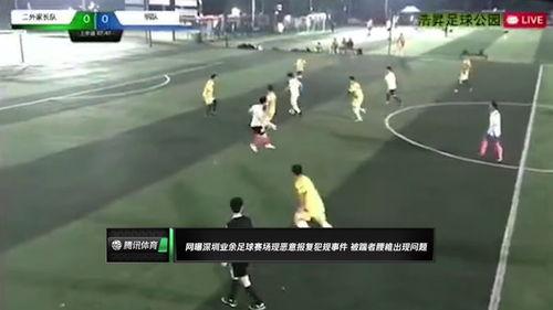 陶城吃瓜大赛事件视频,一场全民参与的欢乐盛宴