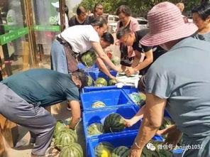 会宁教场吃瓜事件视频,一场引发热议的网络视频风波