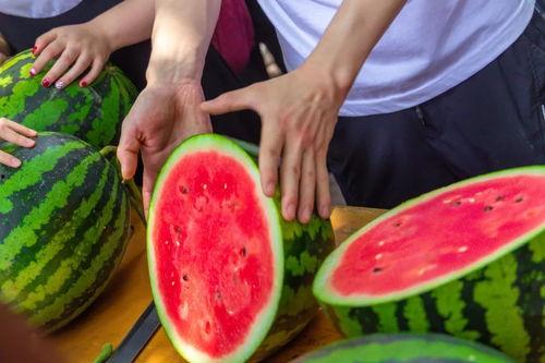 保定学院视频吃瓜,揭秘校园生活趣味瞬间