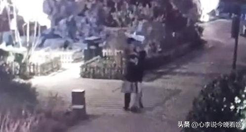 ucsd视频吃瓜完整版,揭秘吃瓜背后的完整故事