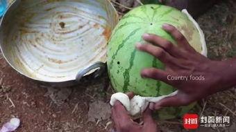 印度老人吃红瓜视频,传统风味与现代生活的完美融合